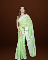 Classic Allure: Light Parrot Green Pure Khaddi Georgette Saree with Silver Border and Beautiful Pallu